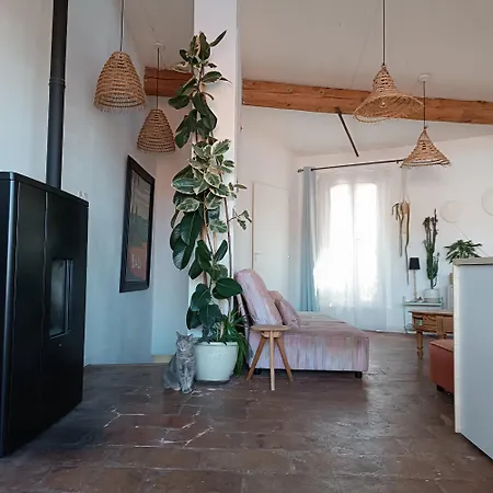 La Succulente * Mèze