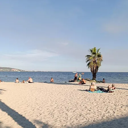 La Succulente * Mèze